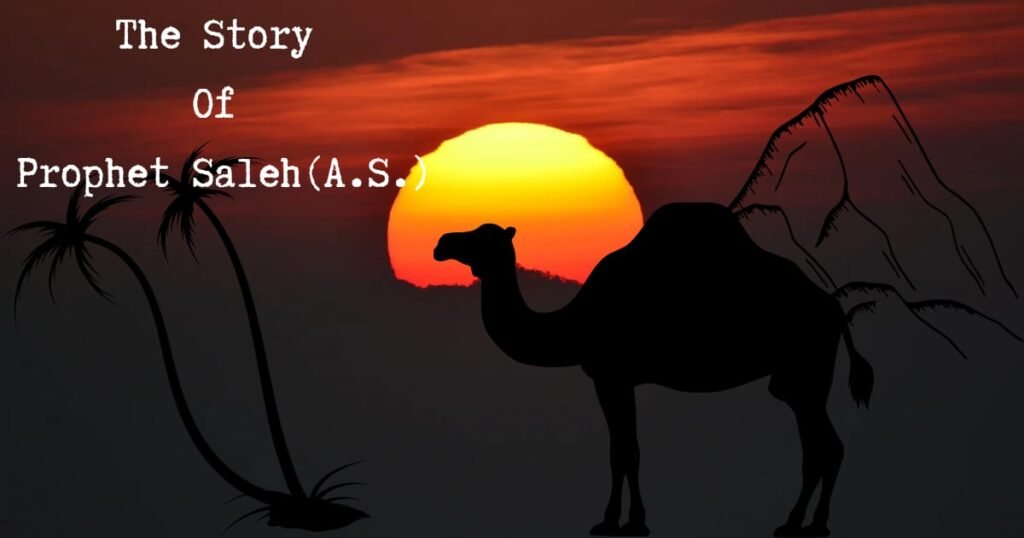 Story of Prophet Saleh: Lessons, Guidance and Miracles