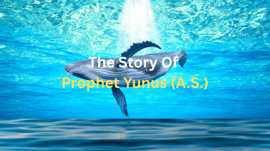 Discover the powerful story of Prophet Yunus (A.S.), a lesson in patience, repentance, and Allah’s infinite mercy. Learn how his journey from hardship to forgiveness continues to inspire believers today.