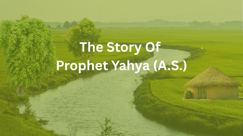 Discover the story of Prophet Yahya (A.S.), a symbol of purity, wisdom, and devotion—born as a miracle and martyred for truth.